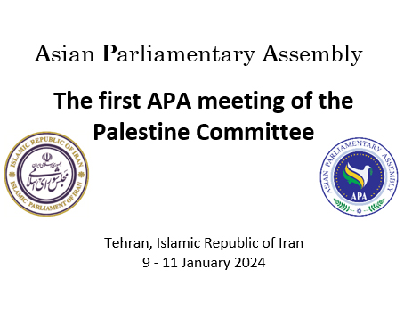 The first APA meeting of the Palestine Committee